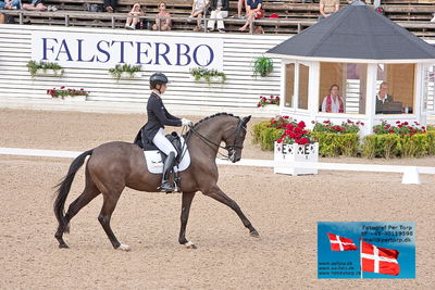 CDI3 Grand Prix
Keywords: falsterbo;carina scholz;soiree d'amour old