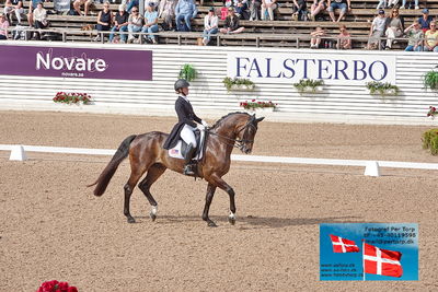 CDI3 Grand Prix
Keywords: falsterbo;siena harris-gissler;status royal old