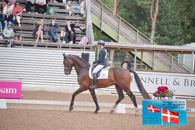 folksam open 4års dressur
dressur
Keywords: falsterbo;helen johansson;ninnis seabank