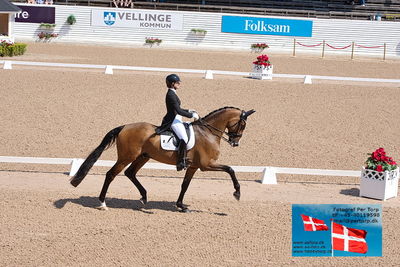 CDI1 Lilla Rundan Prix St. Georges
Keywords: falsterbo;susanne barnov;skovdals dexter