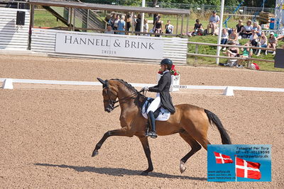 CDI1 Lilla Rundan Prix St. Georges
Keywords: falsterbo;susanne barnov;skovdals dexter