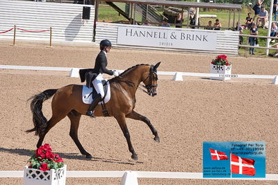 CDI1 Lilla Rundan Prix St. Georges
Keywords: falsterbo;susanne barnov;skovdals dexter