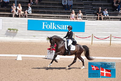 CDI1 Lilla Rundan Prix St. Georges
Keywords: falsterbo;anna kasprzak;danciero 7