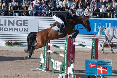 fQualifier for Agria Grand Prix 150cm
Keywords: falsterbo;michael greve;la vie est belle tcs