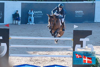 fQualifier for Agria Grand Prix 150cm
Keywords: falsterbo;steve guerdat;easy star de talma