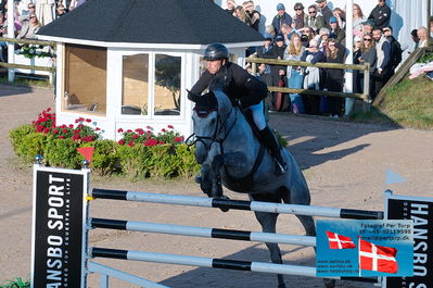 fQualifier for Agria Grand Prix 150cm
Keywords: falsterbo;alain jufer;dark grey mm