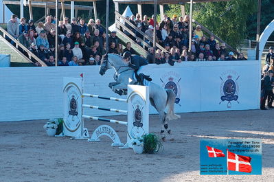 fQualifier for Agria Grand Prix 150cm
Keywords: falsterbo;soeren moeller rohde;action man ask