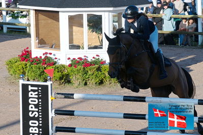 fQualifier for Agria Grand Prix 150cm
Keywords: falsterbo;alessandra reich;anyway van het kervijnhof z