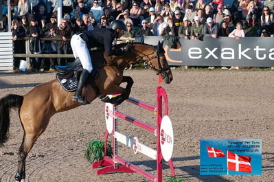 fQualifier for Agria Grand Prix 150cm
Keywords: falsterbo;andre thieme;cardani ps