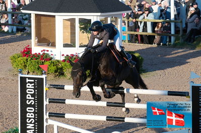 fQualifier for Agria Grand Prix 150cm
Keywords: falsterbo;sandra auffarth;comvador old