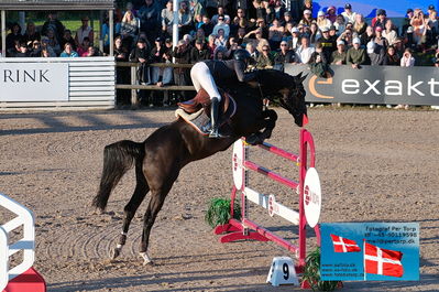 fQualifier for Agria Grand Prix 150cm
Keywords: falsterbo;sandra auffarth;comvador old