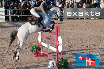 fQualifier for Agria Grand Prix 150cm
Keywords: falsterbo;marie pellegrin;floc