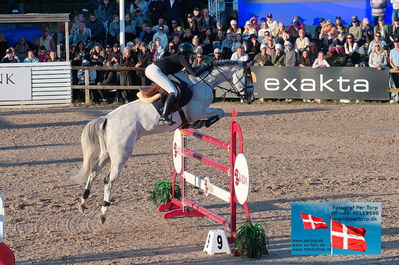 fQualifier for Agria Grand Prix 150cm
Keywords: falsterbo;sophie hinners;iron dames my prins