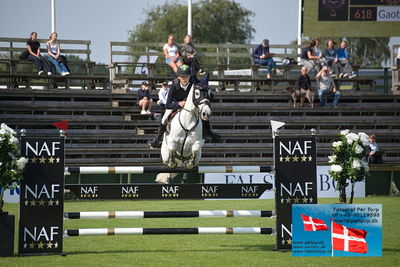 ffive star pony grandprix
showjumping
Keywords: falsterbo;viggo bergstrand;gaoth mahara lad