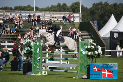 ffive star pony grandprix
showjumping
Keywords: falsterbo;signe ekengren;pats choice