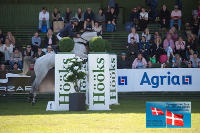 Stiftelsen Falsterbo Horse Show Prize
145cm
Keywords: falsterbo;alix ragot;qh sole mio santo antonio