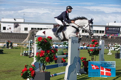 Stiftelsen Falsterbo Horse Show Prize
145cm
Keywords: falsterbo;alix ragot;qh sole mio santo antonio