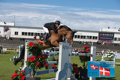 Stiftelsen Falsterbo Horse Show Prize
145cm
Keywords: falsterbo;abdel said;calvaro