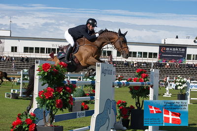 Stiftelsen Falsterbo Horse Show Prize
145cm
Keywords: falsterbo;conor swail;casturano