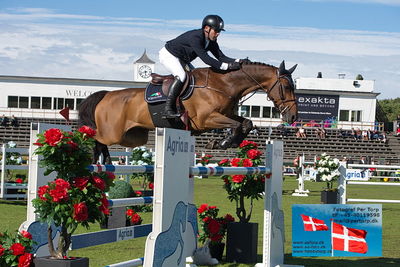 Stiftelsen Falsterbo Horse Show Prize
145cm
Keywords: falsterbo;conor swail;casturano