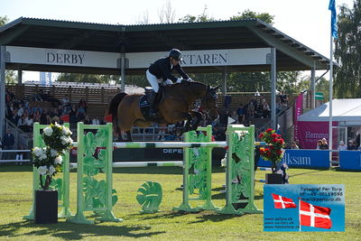 Stiftelsen Falsterbo Horse Show Prize
145cm
Keywords: falsterbo;conor swail;casturano