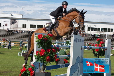 Stiftelsen Falsterbo Horse Show Prize
145cm
Keywords: falsterbo;darragh kenny;eddy blue