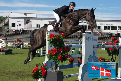 Stiftelsen Falsterbo Horse Show Prize
145cm
Keywords: falsterbo;michael greve;denver