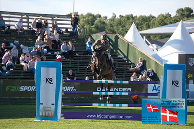 Stiftelsen Falsterbo Horse Show Prize
145cm
Keywords: falsterbo;nico lupino;iniesta