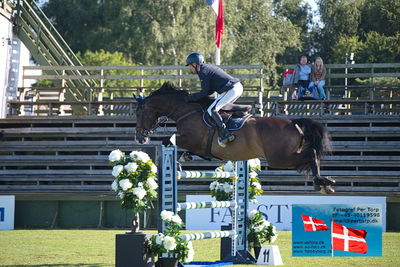 Stiftelsen Falsterbo Horse Show Prize
145cm
Keywords: falsterbo;carsten-otto nagel;cancaneur