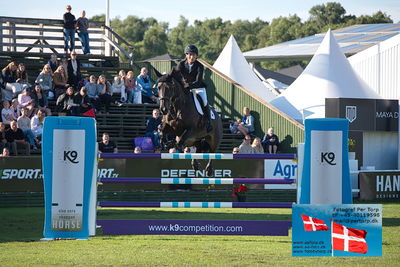 Stiftelsen Falsterbo Horse Show Prize
145cm
Keywords: falsterbo;paal flam;omonza d c