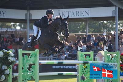 Stiftelsen Falsterbo Horse Show Prize
145cm
Keywords: falsterbo;paal flam;omonza d c