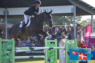 Stiftelsen Falsterbo Horse Show Prize
145cm
Keywords: falsterbo;paal flam;omonza d c