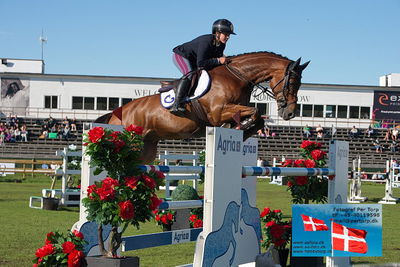 Stiftelsen Falsterbo Horse Show Prize
145cm
Keywords: falsterbo;francesca ciriesi;quincy juice