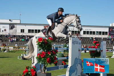 Stiftelsen Falsterbo Horse Show Prize
145cm
Keywords: falsterbo;steve guerdat;ls-minka