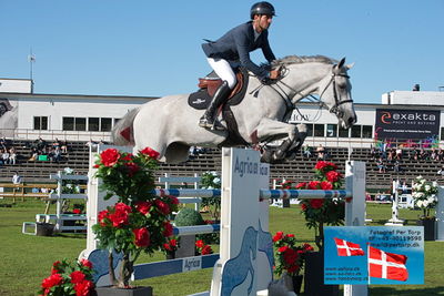 Stiftelsen Falsterbo Horse Show Prize
145cm
Keywords: falsterbo;steve guerdat;ls-minka