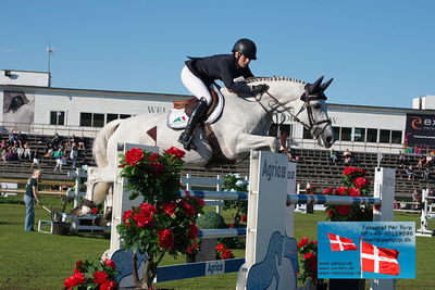 Stiftelsen Falsterbo Horse Show Prize
145cm
Keywords: falsterbo;therese soehol henriksen;iron maiden