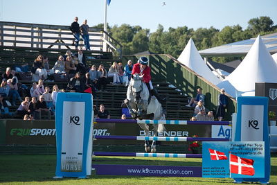 Stiftelsen Falsterbo Horse Show Prize
145cm
Keywords: falsterbo;aaron vale;styles