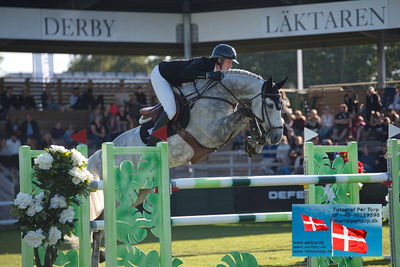 Stiftelsen Falsterbo Horse Show Prize
145cm
Keywords: falsterbo;martin fuchs;coromont