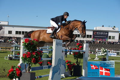 Stiftelsen Falsterbo Horse Show Prize
145cm
Keywords: falsterbo;erica swatz ryan;porche v