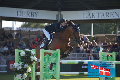 Stiftelsen Falsterbo Horse Show Prize
145cm
Keywords: falsterbo;erica swatz ryan;porche v