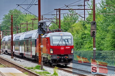DSC_4342.jpg