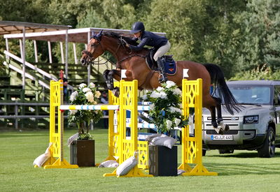 Horseware 7-års Championat hoppning
Keywords: pt;elin sjögren;curt