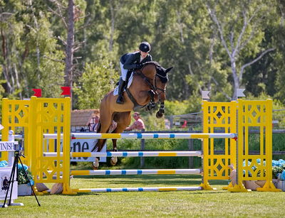 2Folksam Open hoppning 5-åriga hästar
Keywords: pt;karen  møller rohde;fifi ask