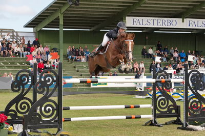 Stiftelsen Falsterbo Horse Show Prize
Keywords: pt;victoria gulliksen;thuur z
