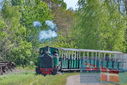 PT9_3250.jpg