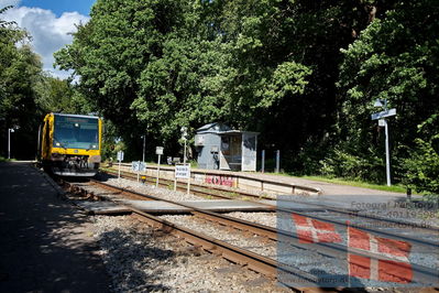 nærumbanen, lokaltog
Keywords: lokaltog;naerumbanen;nærumbanen;rail;fuglevad
