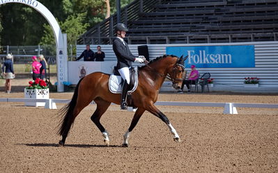 Folksam Open dressyr 5 åriga hästar
Keywords: pt;dennis kjaer;orlando elton