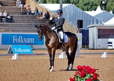 Folksam Open dressyr 6 åriga hästar
Keywords: pt;jan møller Christensen;jesselhoej dream