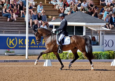 Folksam Open dressyr 6 åriga hästar
Keywords: pt;jan møller Christensen;jesselhoej dream