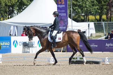 Para Dressage
Team Grade III
Keywords: Karla Dyhm-Junge;Miss Daisy;cp